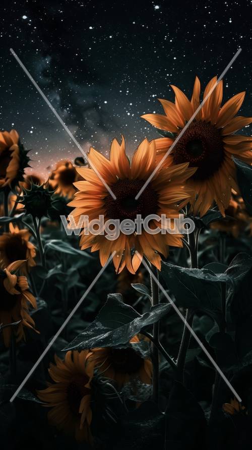 Starry Night Over Sunflowers