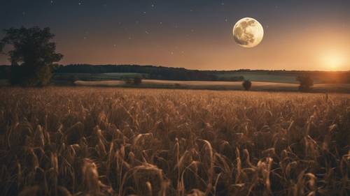 September harvest moon illuminating a serene rural landscape