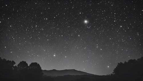 Yıldızların parlak bir şekilde parladığı gri tonlamalı karanlık bir gece gökyüzü.