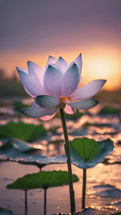 A mural of a singular, giant, dew-covered lotus flower opening at dawn.