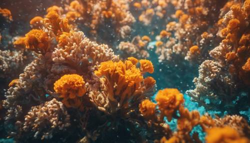 סצנה תת ימית הכוללת שוניות אלמוגים תוססות, המתוארות במרקמים של פרחי ציפורני החתול.