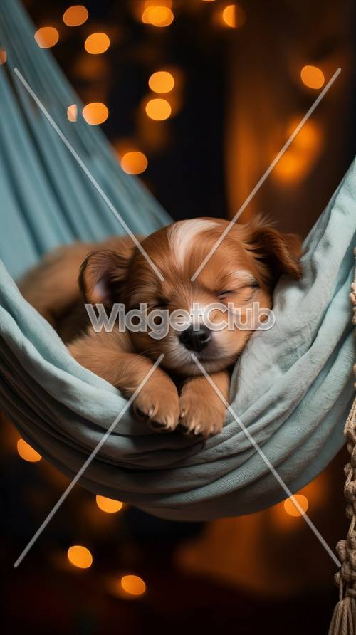 Спящий щенок в гамаке