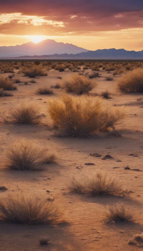 Pemandangan megah di wilayah barat yang liar dengan tanaman tumbleweed bergulung melintasi gurun gersang di bawah terik matahari terbenam.