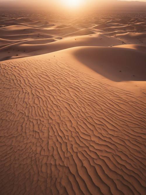 Vista aérea de um vasto deserto destacando o sol se dobrando abaixo do horizonte.