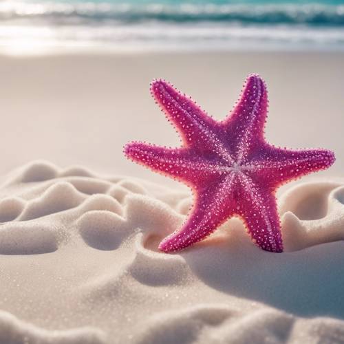 Bintang laut berwarna merah muda cerah di pantai berpasir putih bersih dengan ombak berbusa bergulung di latar belakang.