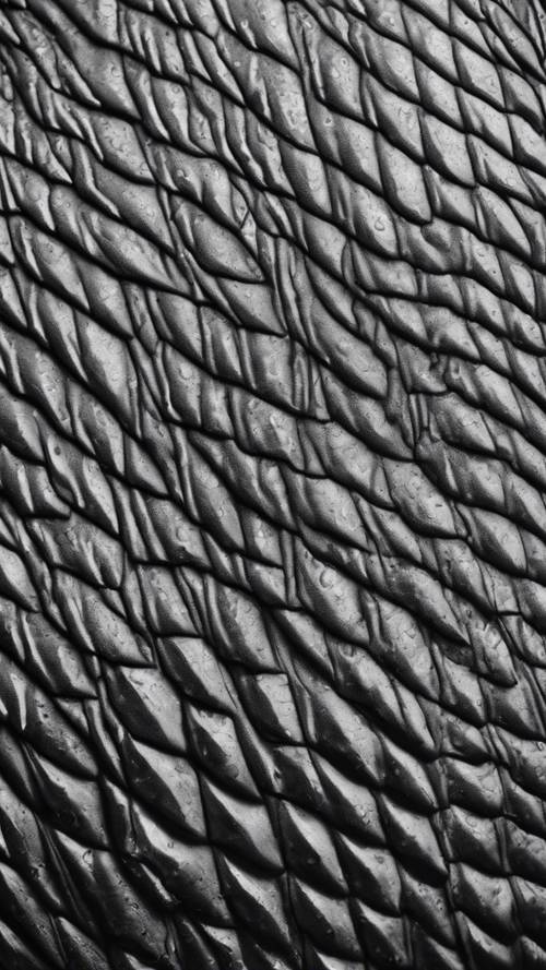 Uma foto macro detalhada em preto e branco da pele de um tubarão cinza com textura única.