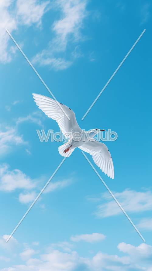 Парящая чайка в голубом небе