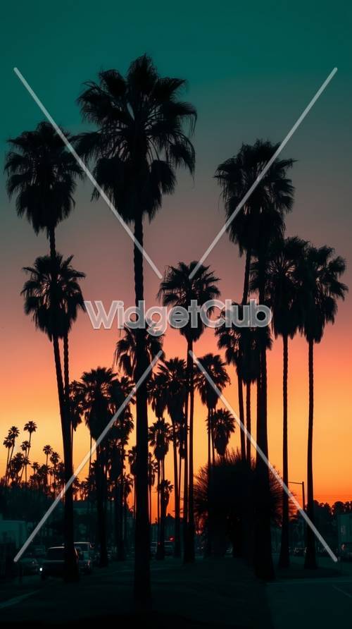 Uzun palmiye ağaçlarının gün batımı siluetleri