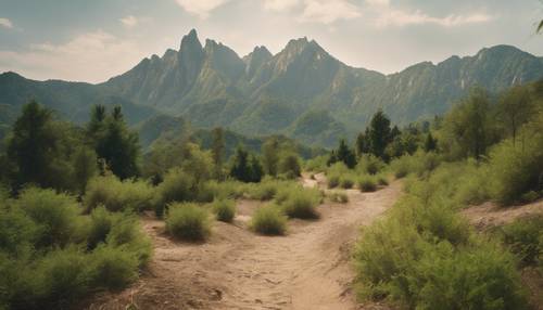 綠色森林山脈的令人印象深刻的遠景，一條米色的土路蜿蜒穿過。