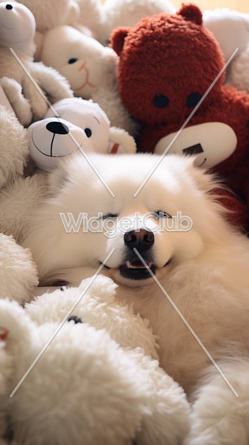 Perro Samoyedo feliz con amigos de peluche
