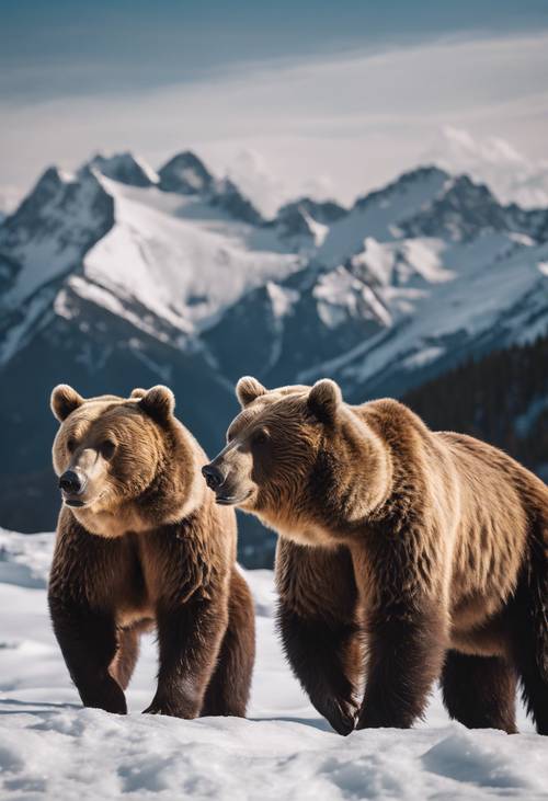 白雪皑皑的山峰脚下的一群棕熊。