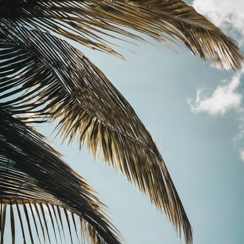 Un primo piano di una fronda di palma, che mostra ogni dettaglio della sua struttura sullo sfondo di un cielo luminoso.