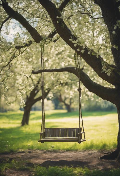 A rustic wooden swing hanging from a grand oak tree, blanketed in fresh spring foliage in a minimalistic style.