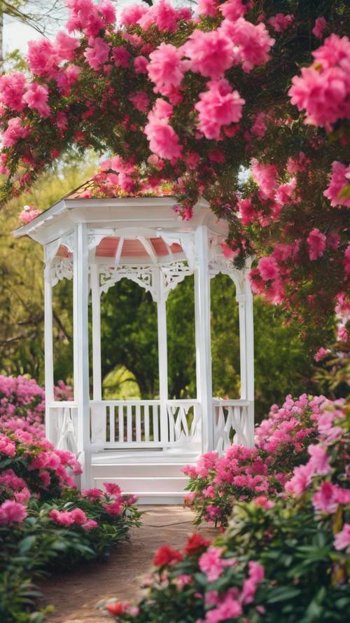 Beyaz bir çardaktan bakan, göz kamaştırıcı canlı bir renk gösterisi yaratan, tamamen çiçek açmış bir açelya bahçesi.