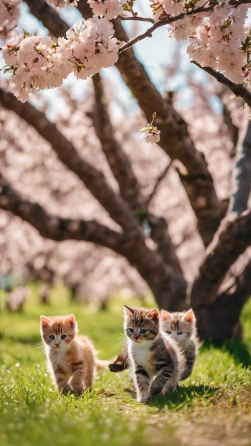 Um grupo de gatinhos multicoloridos perseguindo suas sombras sob um pessegueiro durante uma linda tarde de primavera.