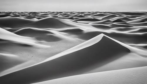 Le dune di sabbia hanno ispirato opere d&#39;arte astratte monocromatiche