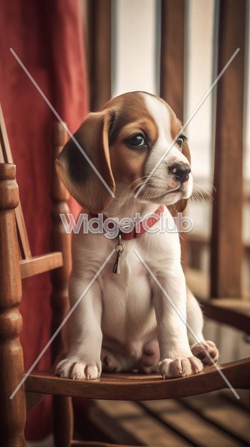 Cute Puppy Sitting by the Window