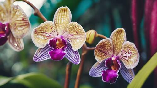 An exotic orchid with iridescent petals blossoming in a tropical rainforest.