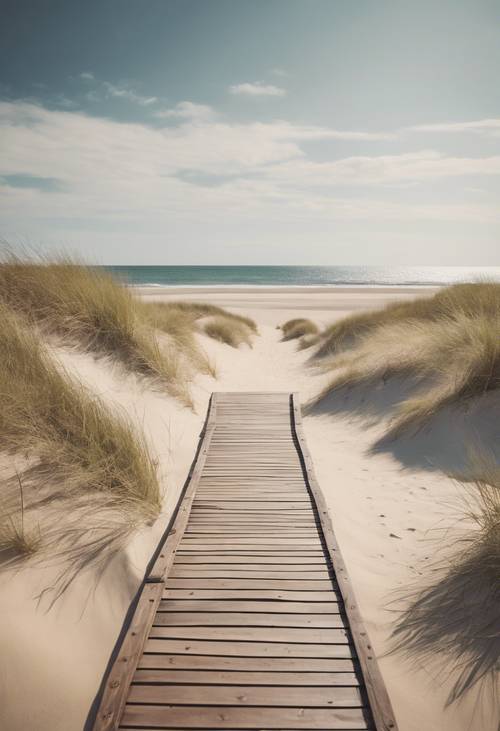 Old-fashioned wooden walkway leading through the dunes to a deserted vintage beach.