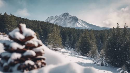 一幅寧靜的雪山景象，前景是森林，「和平從微笑開始」坐落在松果之中。