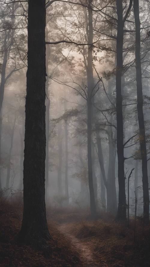 Una densa niebla que envuelve un bosque desolado durante el amanecer.