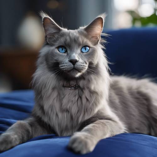 Eine gelassene Nebelung-Katze mit grauem Teint und glitzernden Y2K-Ohrringen sitzt auf einem kobaltblauen Samtkissen in einem stilvollen Loft.