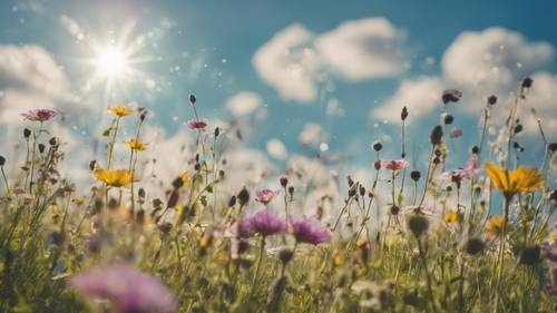 Eine weite, sonnige Wiese voller leuchtender Wildblumen und ein inspirierendes Zitat über die Suche nach innerem Frieden, geschmückt durch den klaren Himmel.