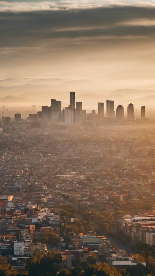 Вид с высоты птичьего полета на обширный горизонт Мехико, залитый лучами раннего утреннего солнца.