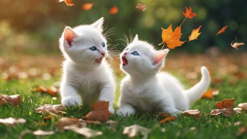 两只白色的小猫在郁郁葱葱的草坪上嬉戏打闹，它们嬉戏的滑稽动作搅动了一片片落叶