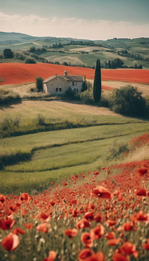 Belle campagne italienne avec des collines et des fermes pittoresques au milieu des champs de pavot