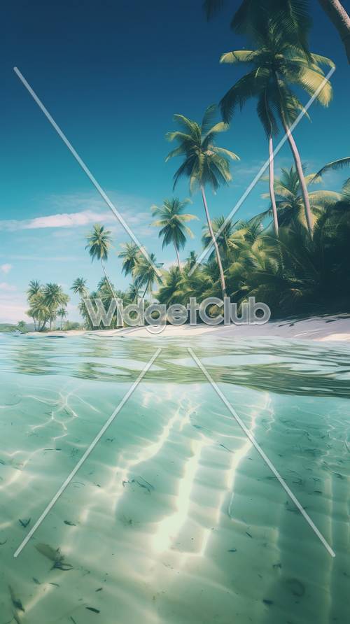 Tropisches Strandparadies mit kristallklarem Wasser und Palmen