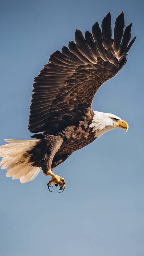 A majestic American Eagle soaring through the clear blue sky.