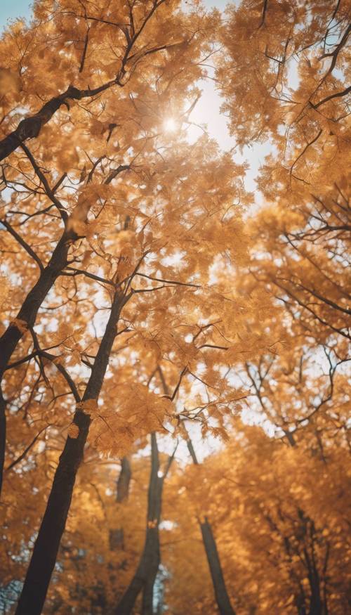 Bright, kawaii-style trees shedding their leaves in the midst of fall