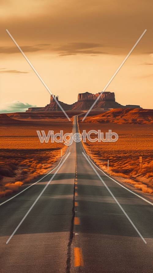 オレンジ色の砂漠の道が山へ続く風景