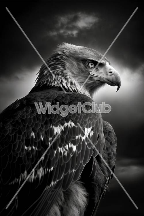Величественный орел на черно-белом фоне