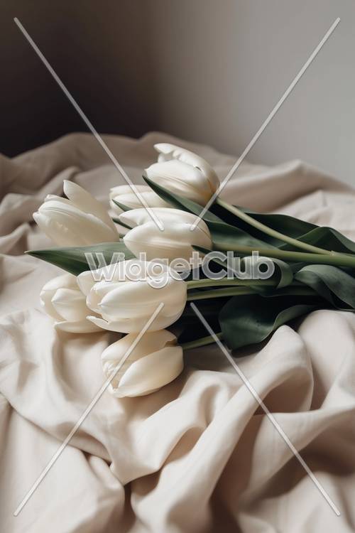 柔软织物上美丽的白色郁金香