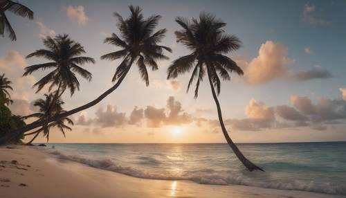 Uma vista panorâmica de uma praia deserta do Caribe ao amanhecer, quando o sol está prestes a nascer.