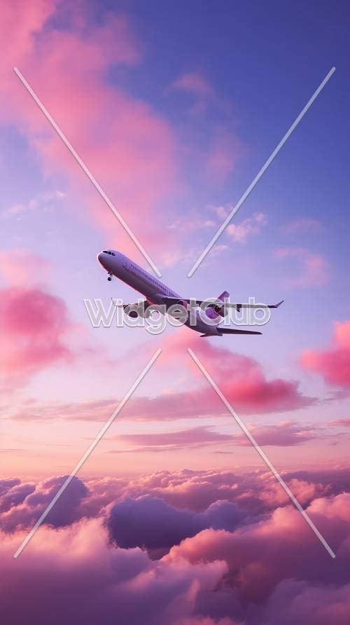 Vol d&#39;avion dans le ciel rose