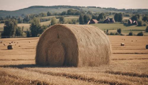 A vintage country wooden barn filled with hay bales and tilled farmland in the background. Tapet [a1977a842a8e474db09b]