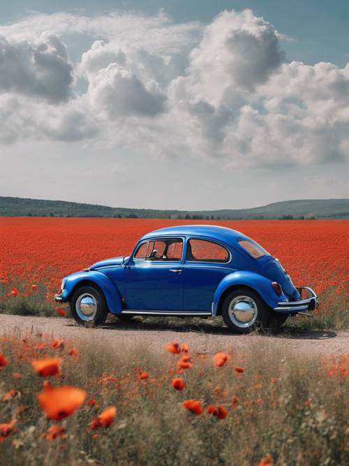 Un VW Beetle azul real estacionado al costado de un campo de amapolas.