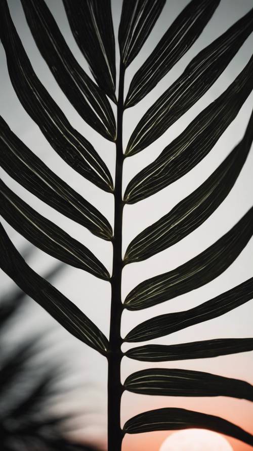 Leuchtende Palmblattadern erzeugen im Licht des Vollmonds ein faszinierendes Muster.