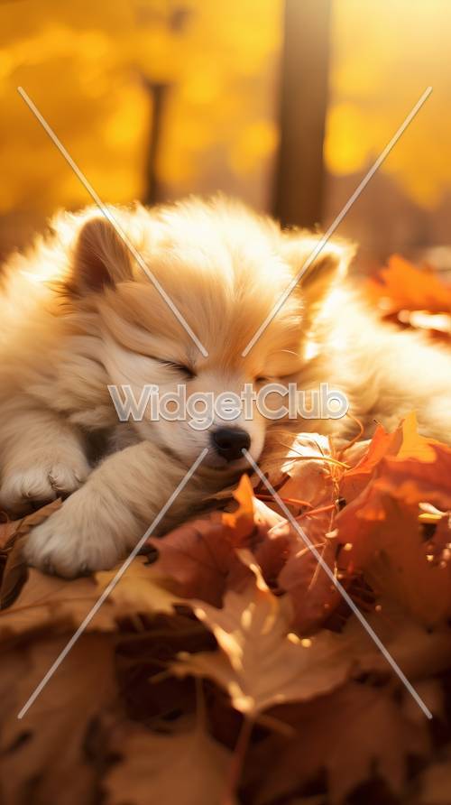 Śpiący szczeniak w jesiennych liściach