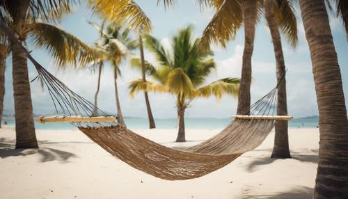 A lazy hammock hung between two sturdy palm trees on a sunny beach.
