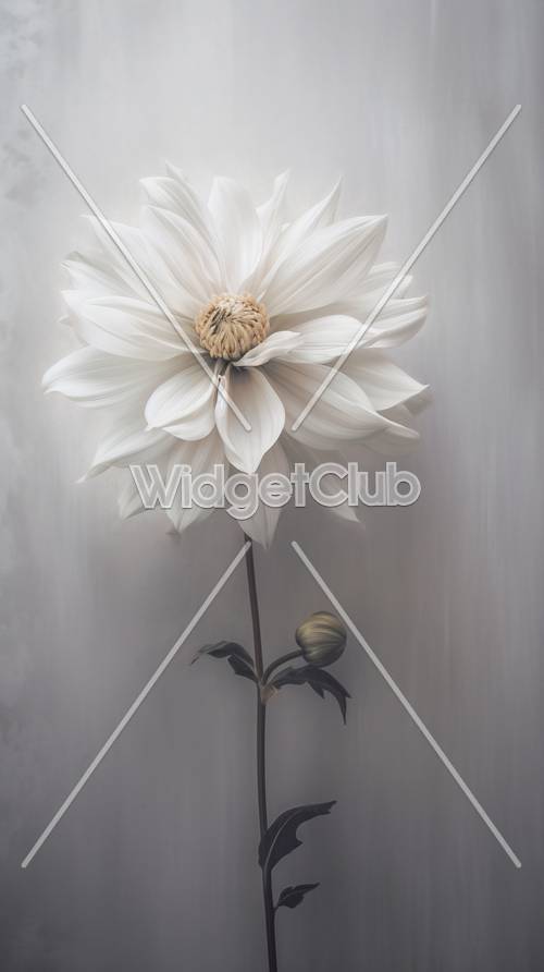 Linda flor branca em luz suave