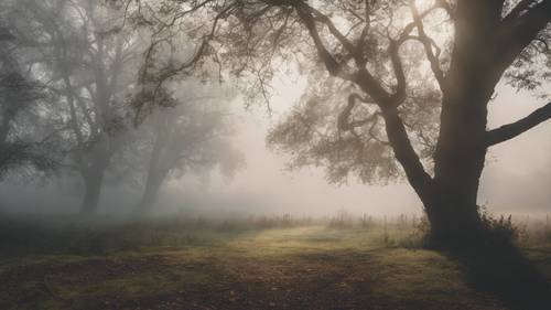 A tranquil foggy morning, with a serene quote forming in the fog.