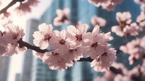Flores de cerejeira flutuando em uma paisagem urbana elegante e ultramoderna.