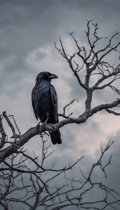 Un seul corbeau perché sur une branche d&#39;arbre noire et nue, au milieu de nuages sombres et roulants