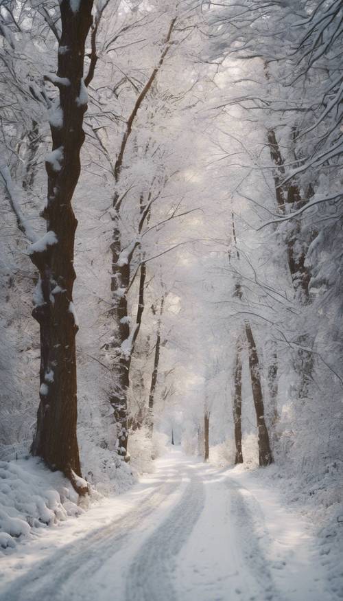 A snowy winding road leading through a wintery forest, dusted with soft, white puffs of snow.