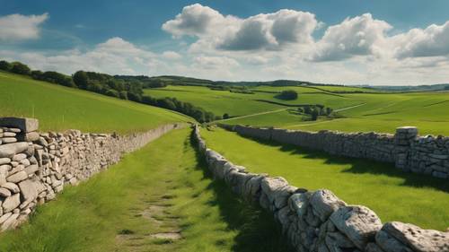 Photo panoramique de la campagne de Cork, avec des champs verdoyants, des murs en pierre et une route étroite, sous un ciel bleu vif.