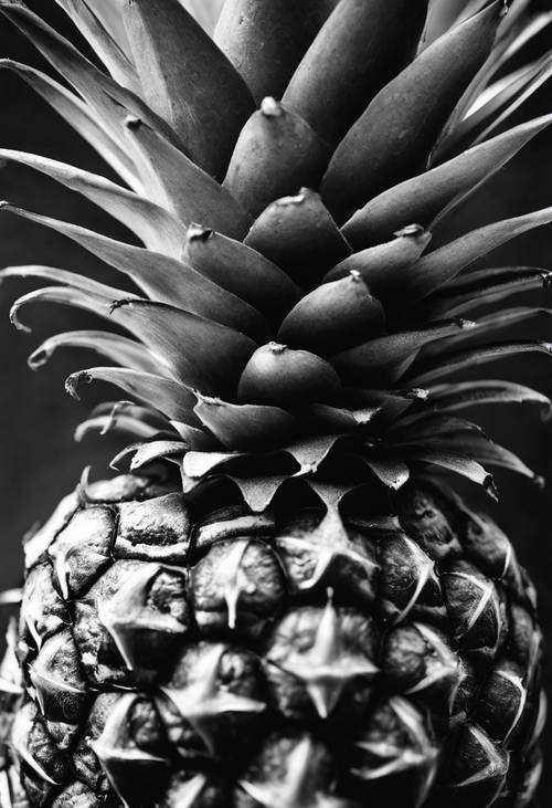 A black and white detailed close-up image of a tropical fruit, like pineapple or mangosteen.